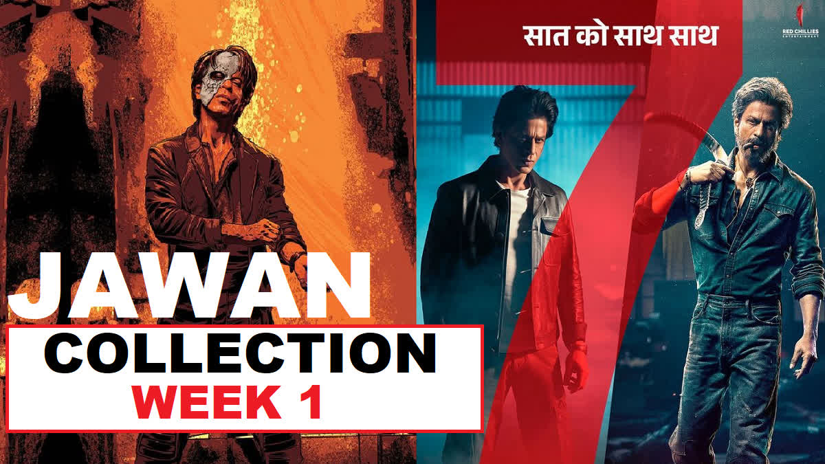 Jawan Collection Week 1