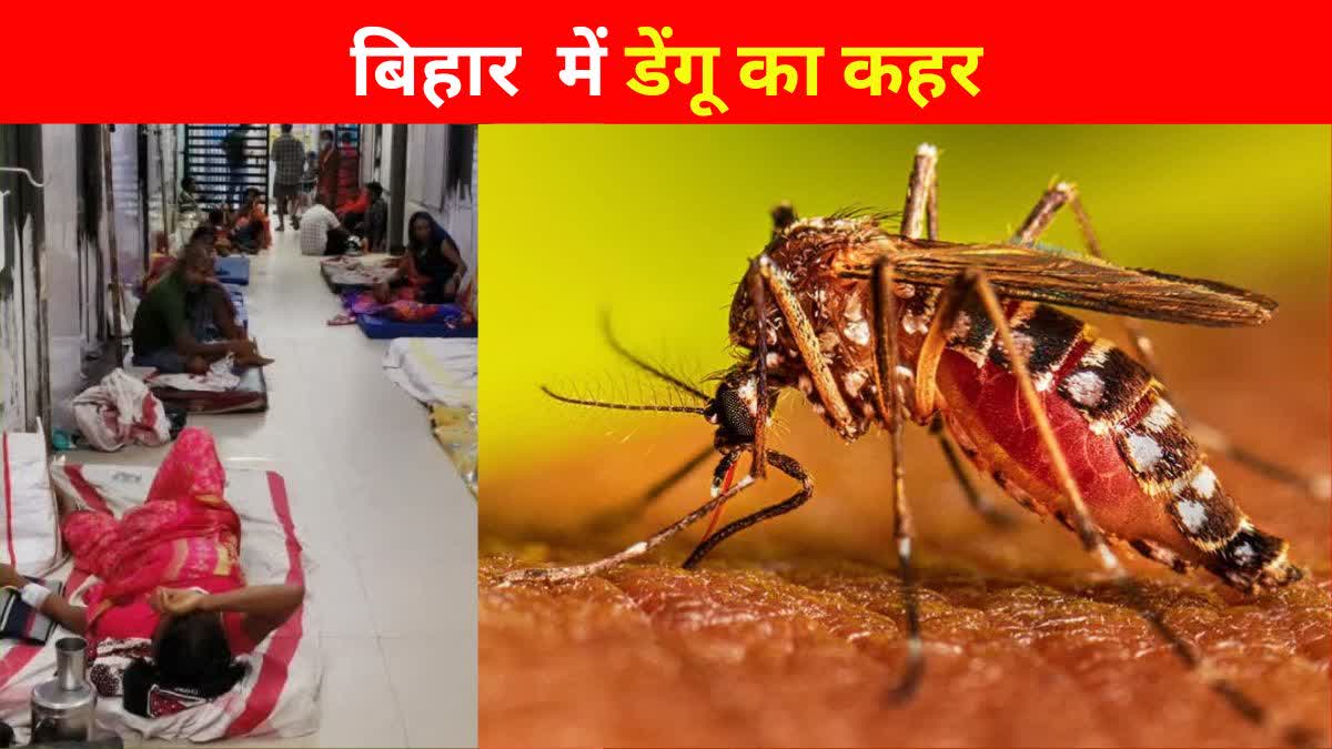 बिहार में डेंगू का कहर