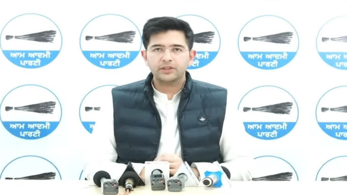 MP Raghav Chadha said that AAP can contest the Lok Sabha elections in Punjab by alliance with Congress