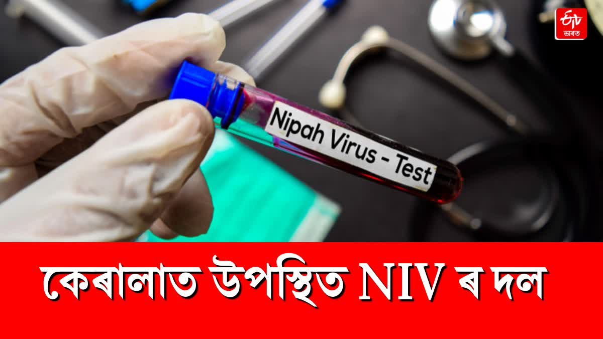 Nipah virus