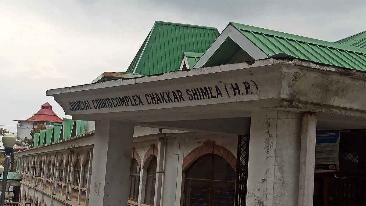 Shimla pocso court decision