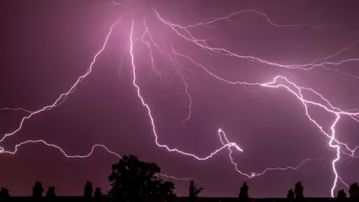 Deaths Due To Lightning In Balrampur