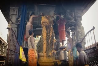 tiruvannamalai annamalai temple pradosham