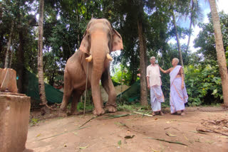 A heartwarming tale of human-animal bond: Retired Kerala couple in news for elephantine love