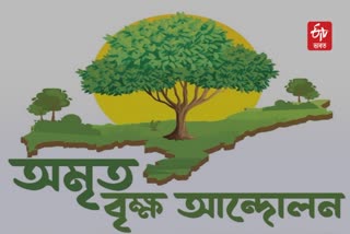 Planting of Trees in Tinsukia