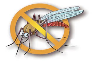 How to Prevent Dengue Fever