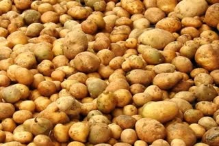 Benefits Of Potatoes