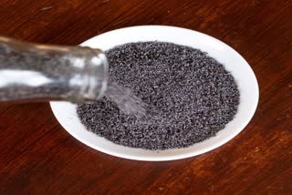 Poppy Seeds News