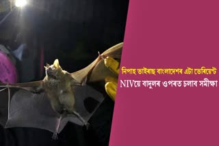 NIV teams to arrive in Kerala following Nipah confirmation; virus is Bangladesh variant: Health Minister