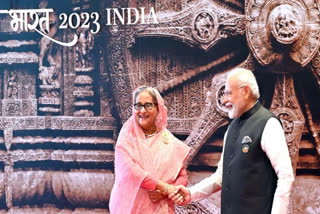 Before Macron, Lavrov's Dhaka visit: How G-20 came good for battling Hasina before polls