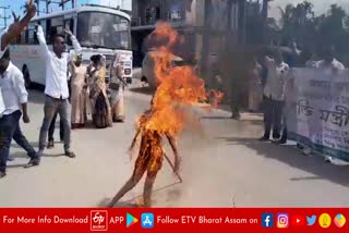 power  minister  effigy  burnt  at silapathar  demanding  regular  power  supply