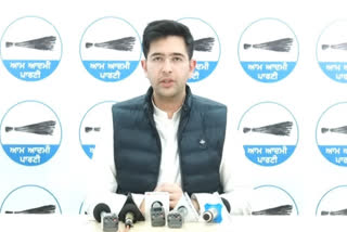 MP Raghav Chadha said that AAP can contest the Lok Sabha elections in Punjab by alliance with Congress