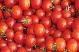 Explained: Cheaper tomatoes cut retail inflation but upward pressure persists on food inflation