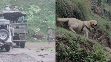 Rajouri Encounter Army Dog Kent