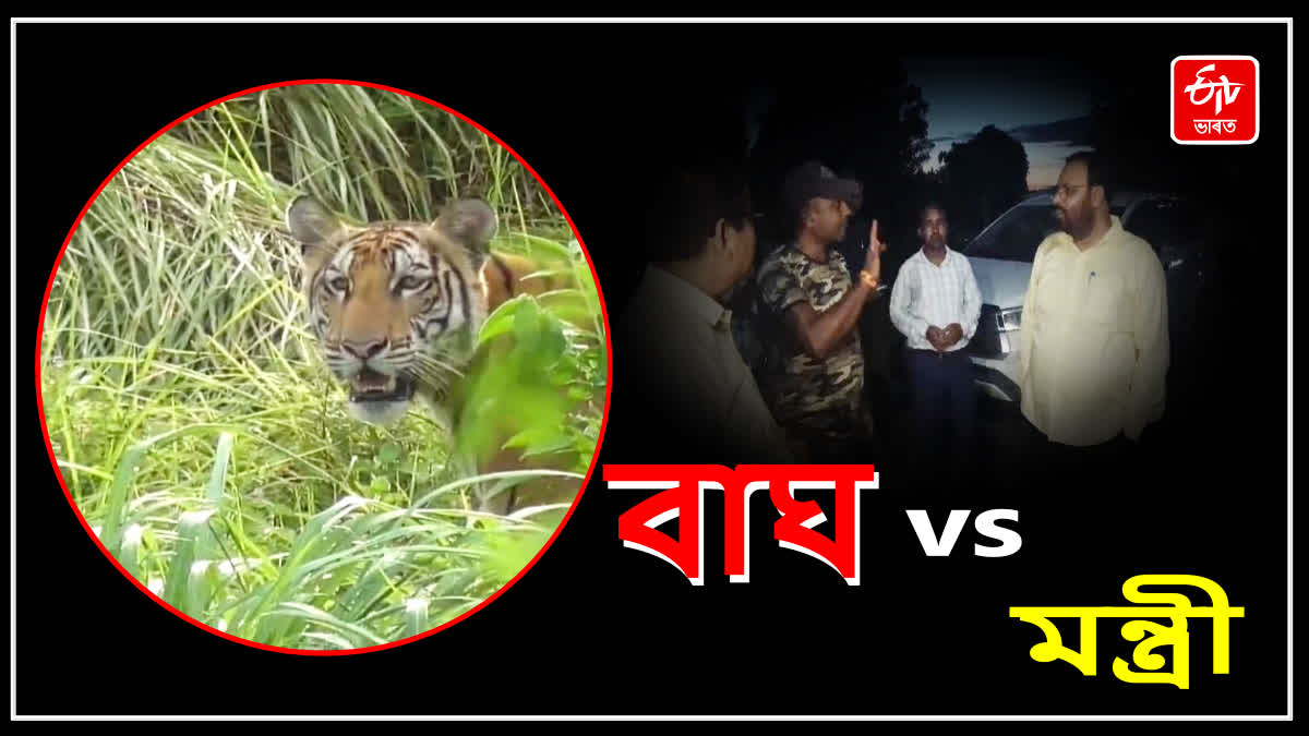 Minister Keshab Mahanta on Tiger Terror