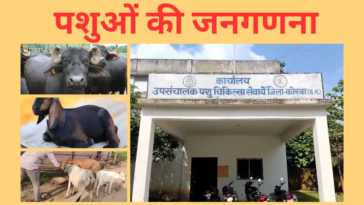 Chhattisgarh Animal census