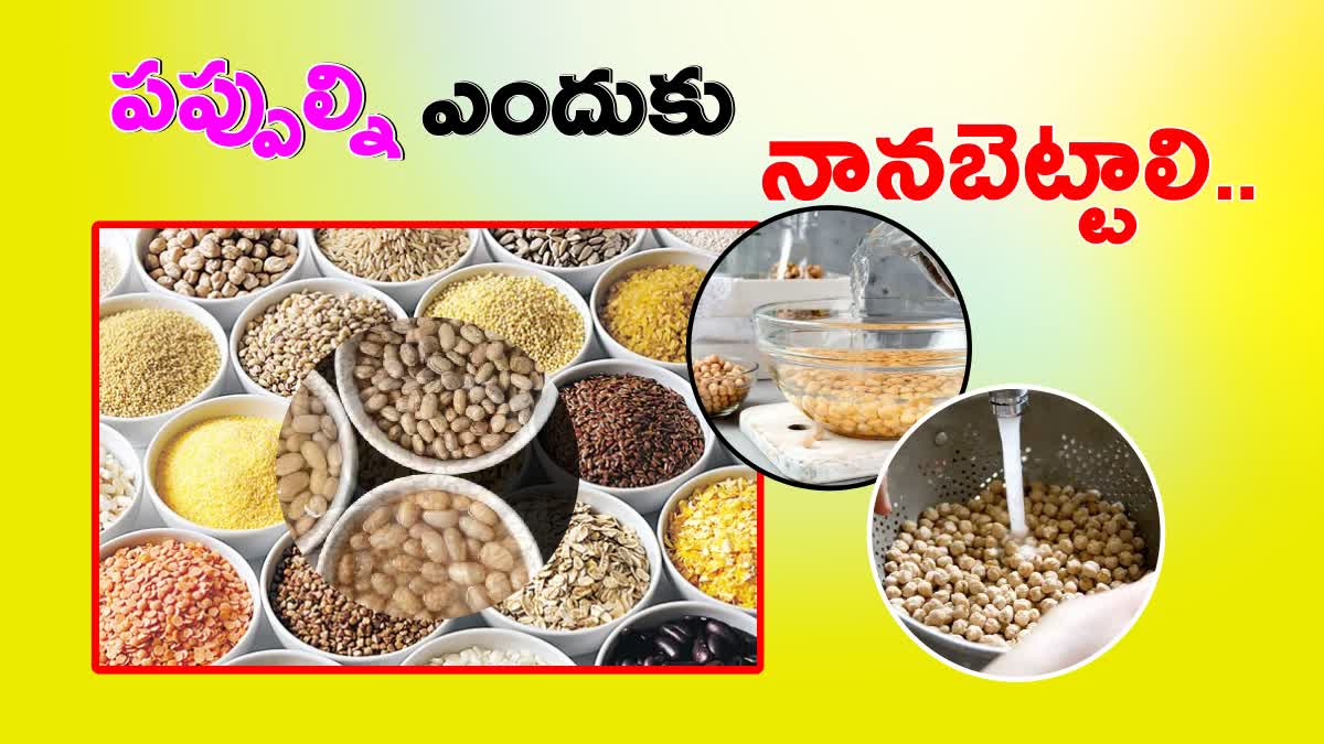 Why are Pulses Soaked in Water Telugu