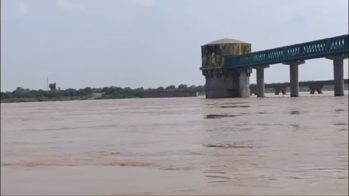 CHAMBAL RIVER IS IN SPATE