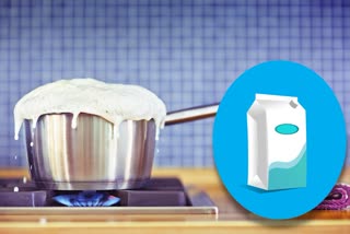 Should You Boil Your Pasteurized Milk News