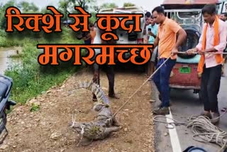 CROCODILE JUMPS OUT OF RICKSHAW