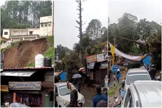 RANIKHET MEENA BAZAAR TREE FELL