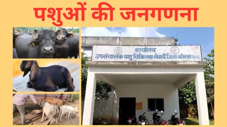 Chhattisgarh Animal census