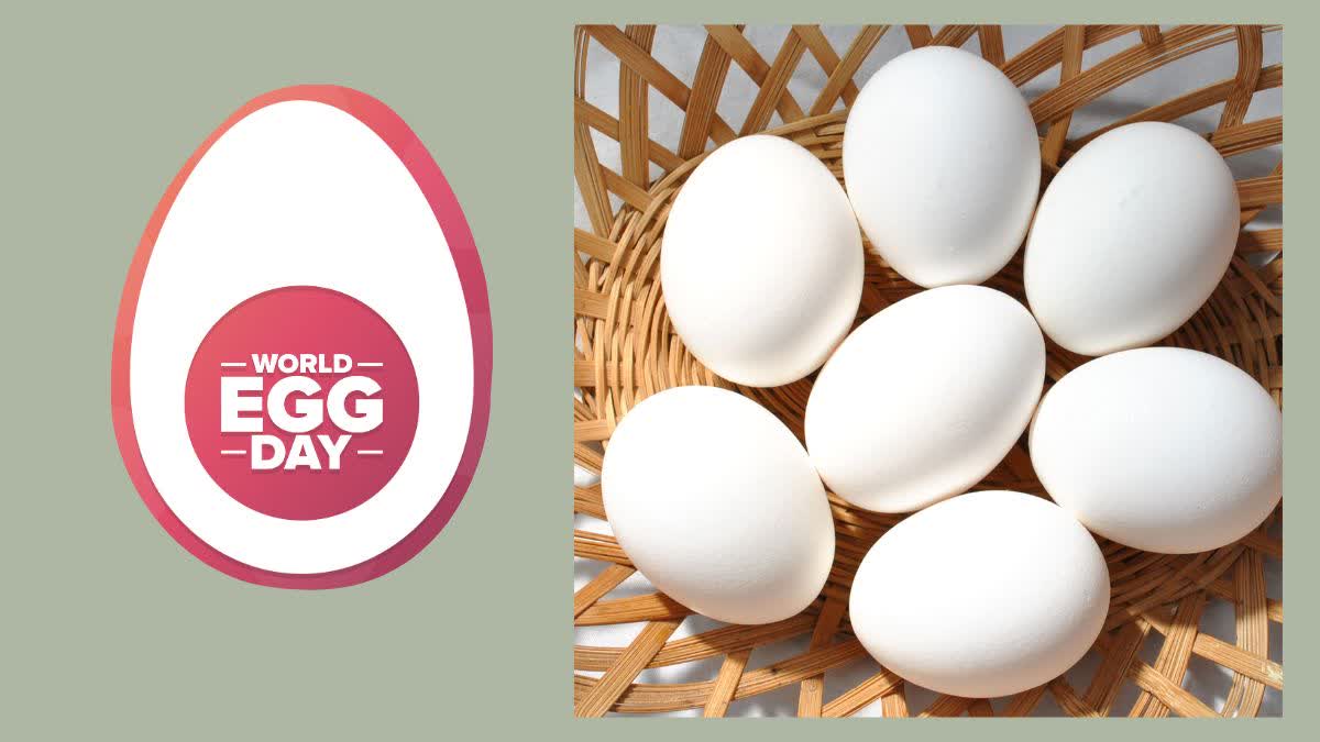 World Egg Day 2023 अंडा हेल्दी लाइफ के लिए है फायदेमंद, जानिए इसमें