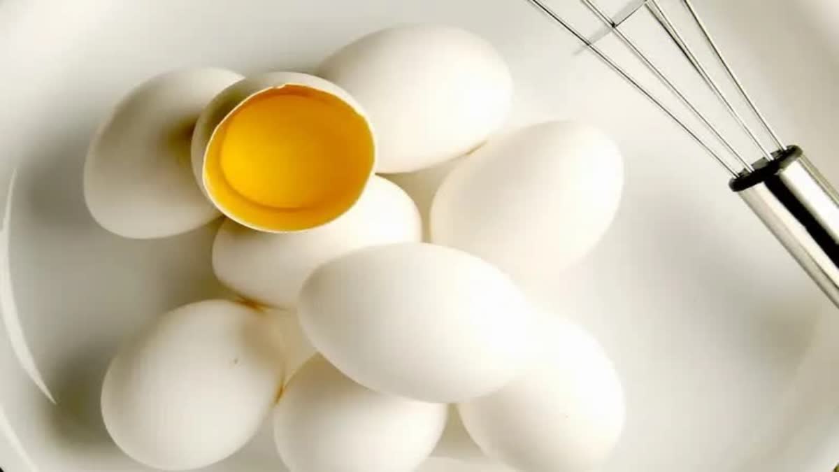 World egg Day News