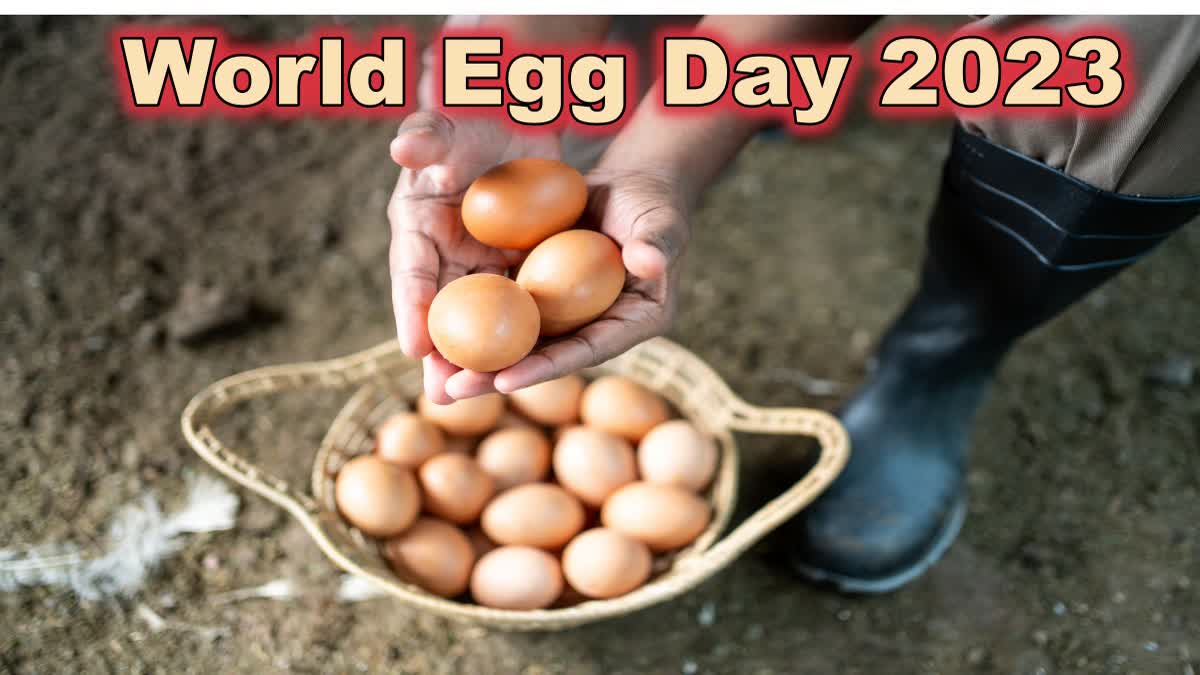 World Egg Day 2023