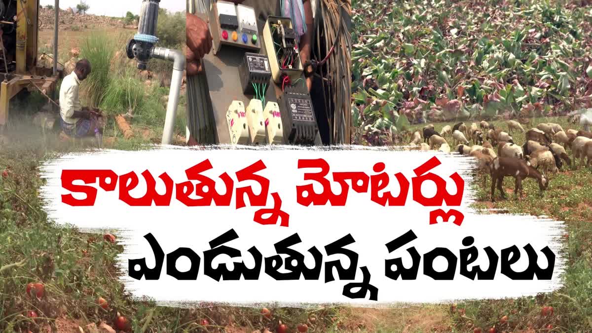 Crops_Damage_Due_To_Power_Cuts_Anantapuram