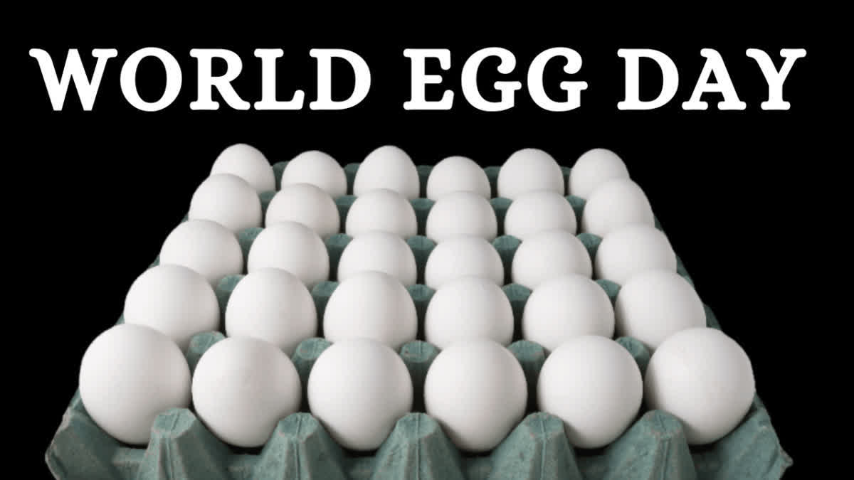 World Egg Day