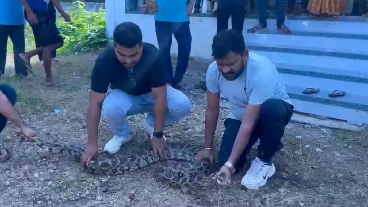 Navsari Python Rescue