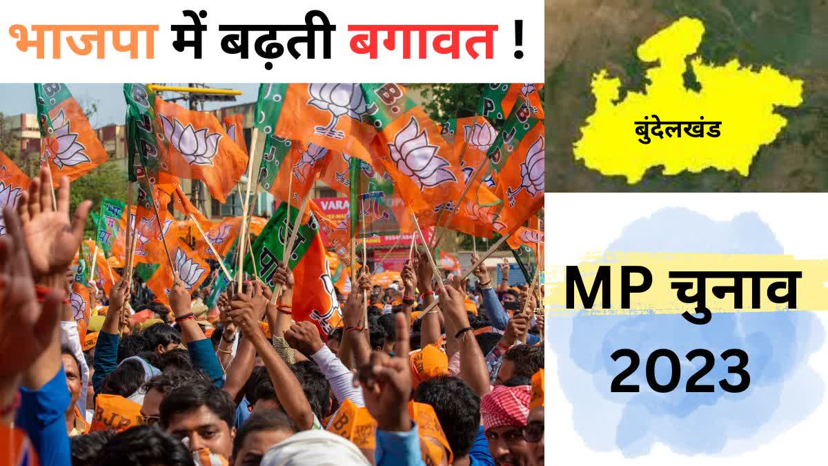 MP Assembly Election 2023