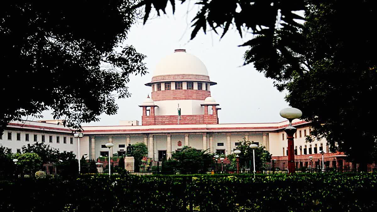 SC On Pregnancy Termination