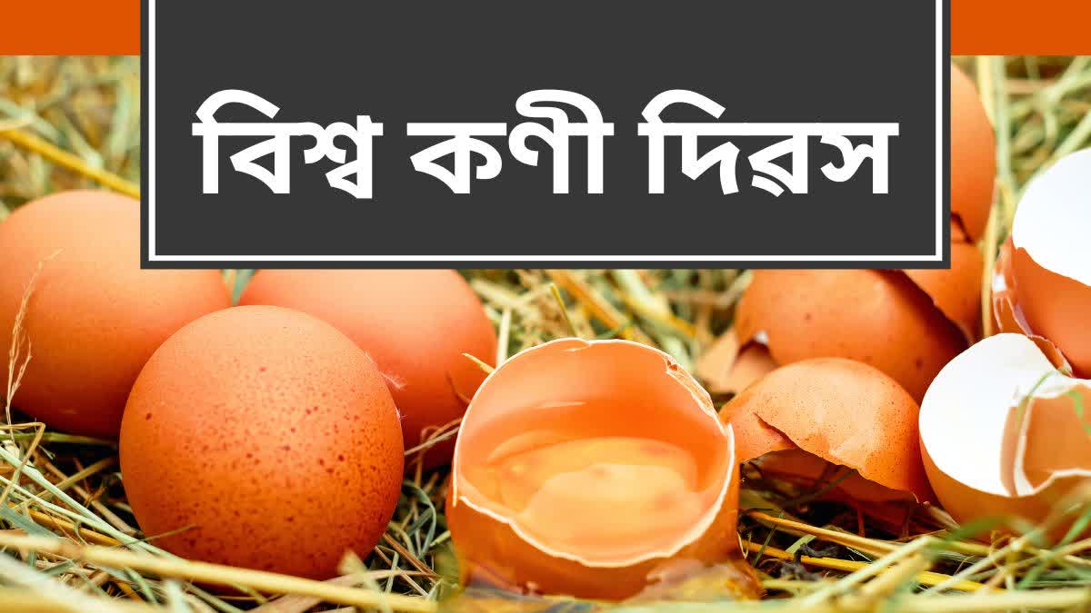 World Egg Day: Why is World Egg Day celebrated?