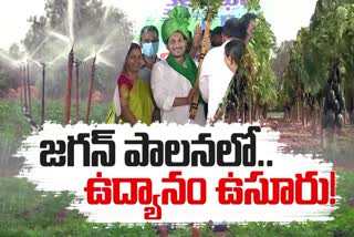 ysrcp_government_neglect_the_horticultural_crops