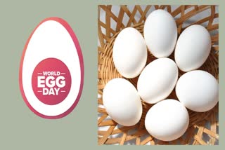 World Egg Day 2023