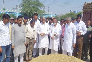 paddy procurement in haryana