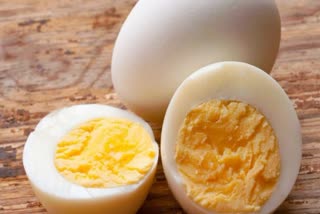 World Egg Day 2023  Nutritional power of eggs for a healthy future  egg  Egg Day  മുട്ടയുടെ ഗുണങ്ങൾ  benefits of eggs  മുട്ട  മുട്ട പോഷകഗുണങ്ങൾ  ലോക മുട്ട ദിനം  മുട്ട ദിനം ചരിത്രം