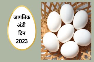 World Egg Day 2023