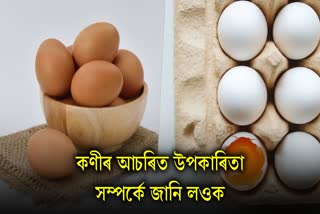 World Egg Day 2023:  From increasing immunity to controlling weight, know the amazing benefits of eating superfood eggs