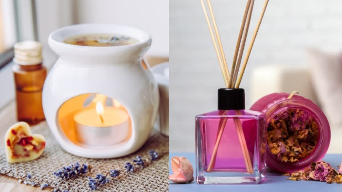 HOW TO MAKE YOUR HOME SMELL GOOD  NATURAL WAYS TO IMPROVE HOME SMELL  HOW TO MAKE YOUR HOME SMELL BETTER