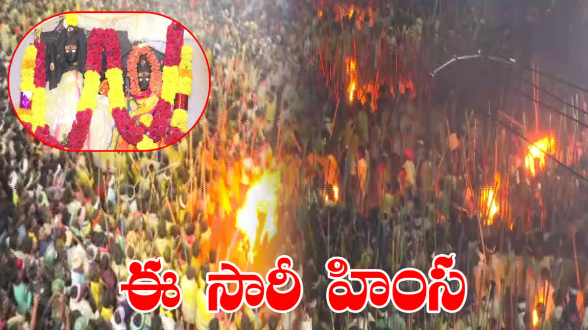 Devaragattu Bunny Festival 2024 in kurnool District