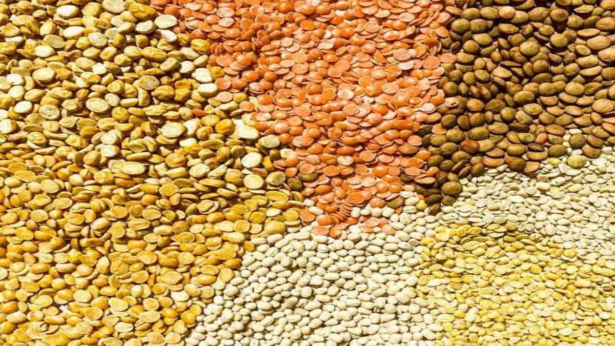 3 TYPES OF PULSES IN HIMACHAL DEPOT