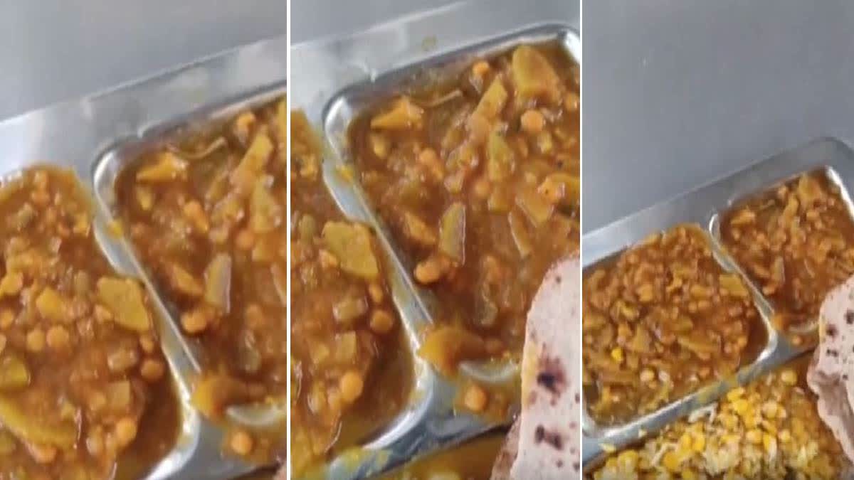 Lizard Tail In Mess Food At Central University Of Rajasthan; Bhagirath Chaudhary Asks VC To Probe