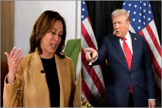 Trump Vs Harris