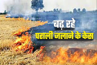 STUBBLE BURNING IN HARYANA