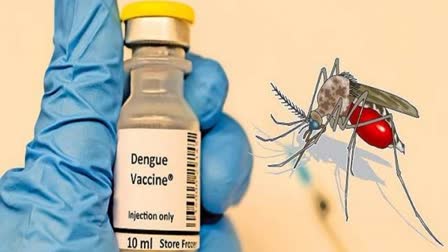 dengue vaccine in Bihar