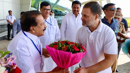 Rahul Gandhi to review Maharashtra Congress polls preparations Oct 14