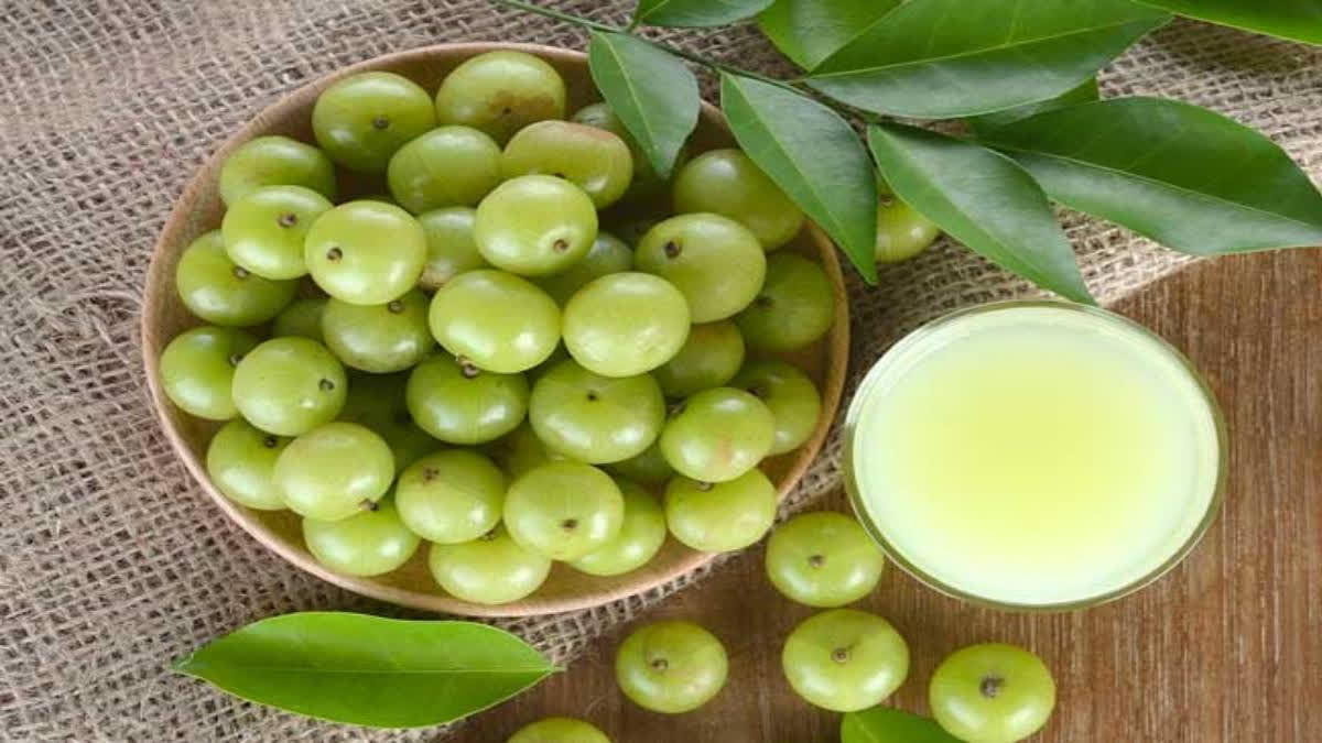 amla-gives-solution-for-winter-hair-problem